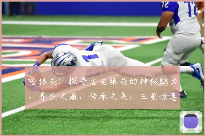 哈银花：探寻古老银花的神秘魅力，养生之道，传承之美，三重惊喜，不容错过
